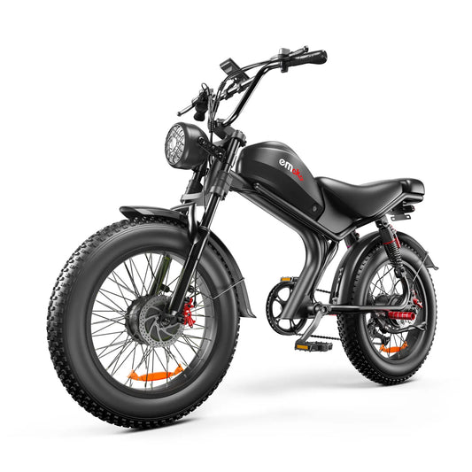 Emoko C93 1000W Dual Motor E-Bike Fat Tire Mountain