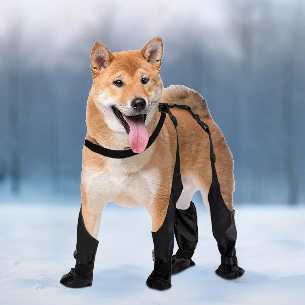 CN Guangdong Waterproof Dog Boot Leggings For Walking