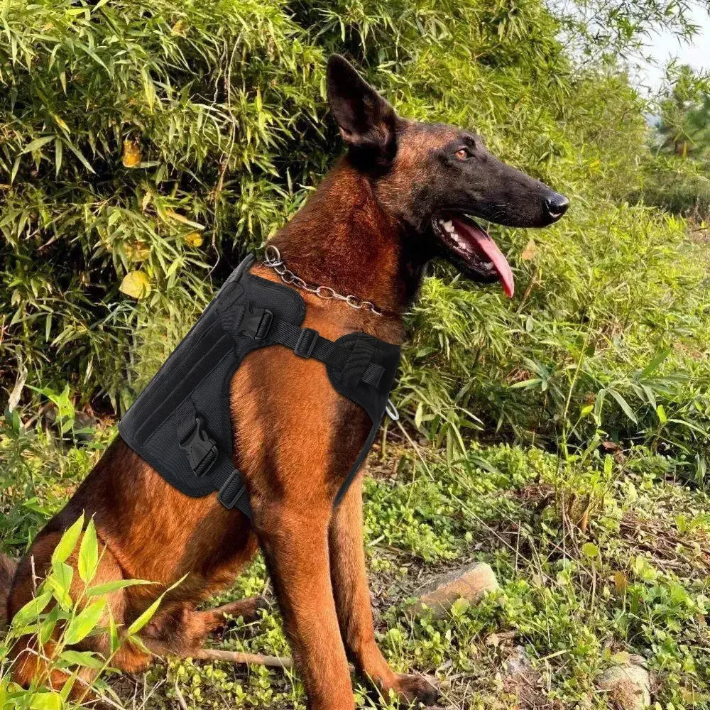 Tactical Dog Vest Nylon Harness for Training Outdoors